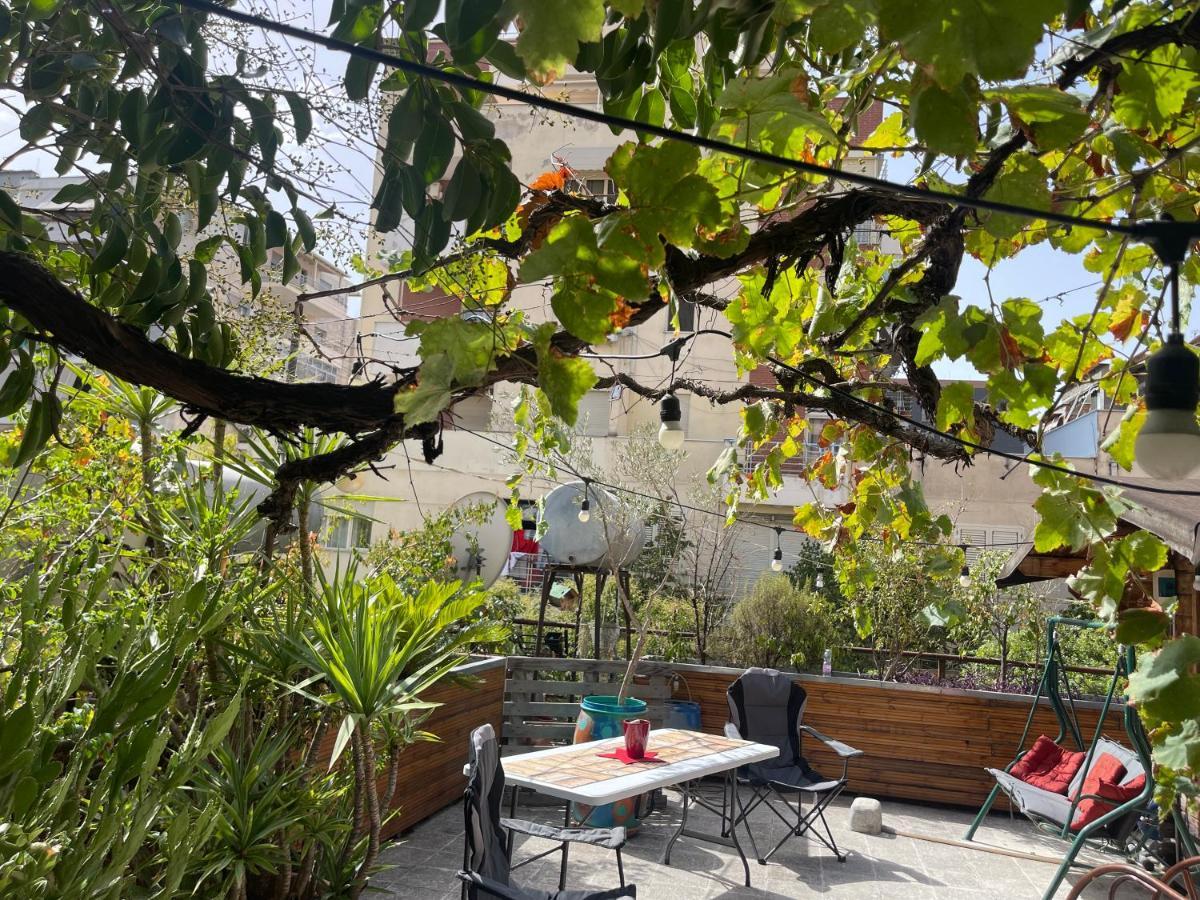 Apartment Prickly Pear Corner Tirana